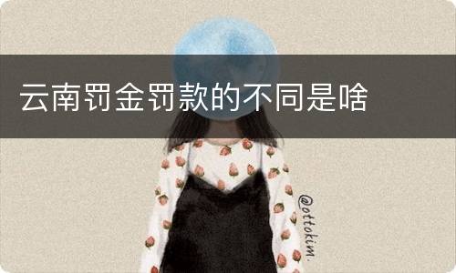 云南罚金罚款的不同是啥