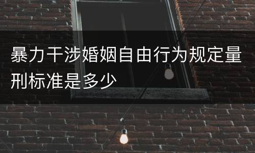 暴力干涉婚姻自由行为规定量刑标准是多少