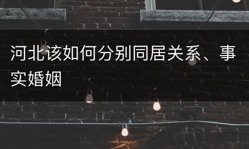 河北该如何分别同居关系、事实婚姻
