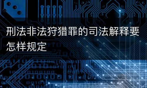 刑法非法狩猎罪的司法解释要怎样规定