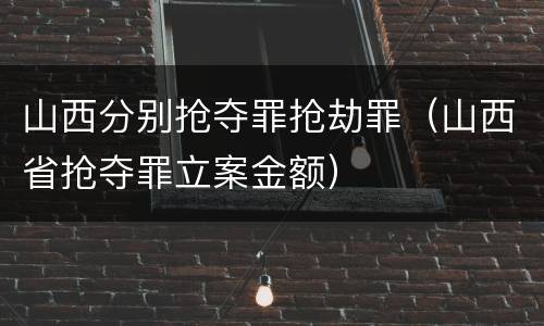 山西分别抢夺罪抢劫罪（山西省抢夺罪立案金额）