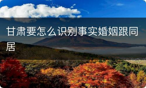 甘肃要怎么识别事实婚姻跟同居