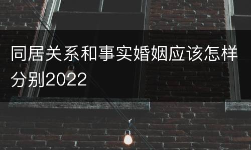 同居关系和事实婚姻应该怎样分别2022