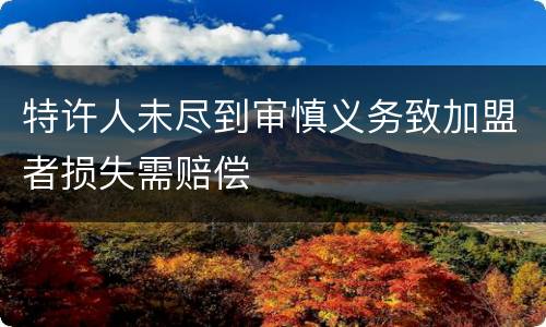 特许人未尽到审慎义务致加盟者损失需赔偿