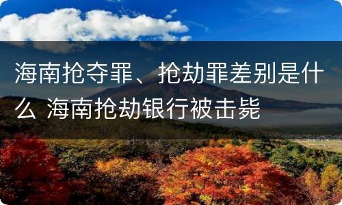 海南抢夺罪、抢劫罪差别是什么 海南抢劫银行被击毙