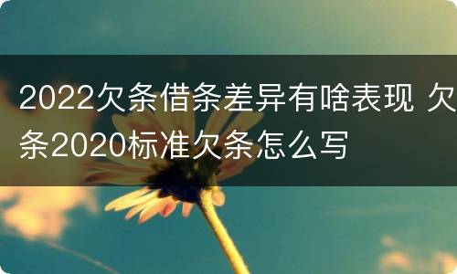 2022欠条借条差异有啥表现 欠条2020标准欠条怎么写