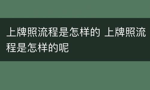上牌照流程是怎样的 上牌照流程是怎样的呢