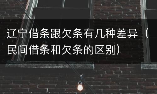 辽宁借条跟欠条有几种差异（民间借条和欠条的区别）