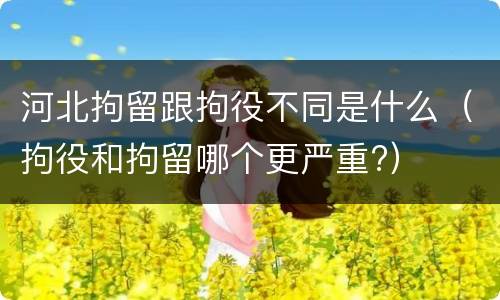 河北拘留跟拘役不同是什么（拘役和拘留哪个更严重?）