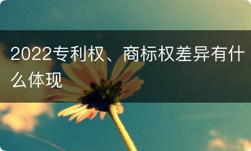2022专利权、商标权差异有什么体现