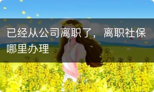 已经从公司离职了，离职社保哪里办理
