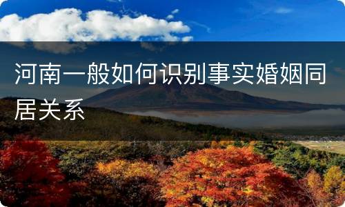 河南一般如何识别事实婚姻同居关系