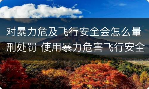 对暴力危及飞行安全会怎么量刑处罚 使用暴力危害飞行安全罪的主要特征