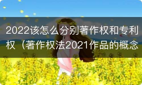 2022该怎么分别著作权和专利权（著作权法2021作品的概念）