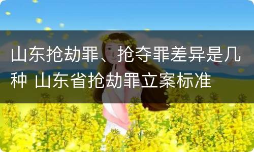 山东抢劫罪、抢夺罪差异是几种 山东省抢劫罪立案标准