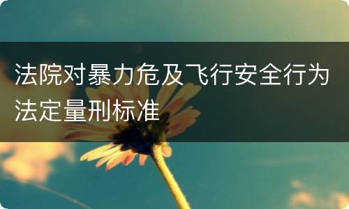 法院对暴力危及飞行安全行为法定量刑标准