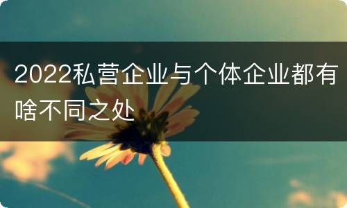 2022私营企业与个体企业都有啥不同之处