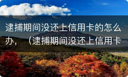 逮捕期间没还上信用卡的怎么办，（逮捕期间没还上信用卡的怎么办呢）