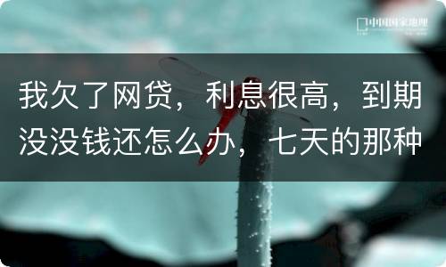 我欠了网贷，利息很高，到期没没钱还怎么办，七天的那种
