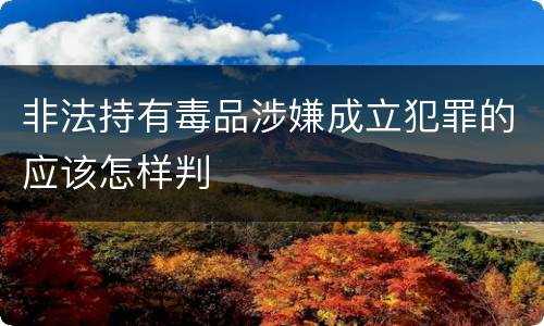 非法持有毒品涉嫌成立犯罪的应该怎样判