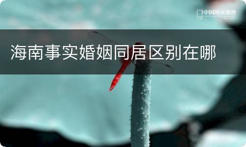 海南事实婚姻同居区别在哪