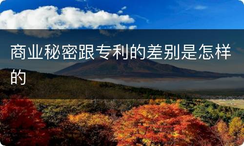 商业秘密跟专利的差别是怎样的