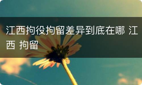 江西拘役拘留差异到底在哪 江西 拘留