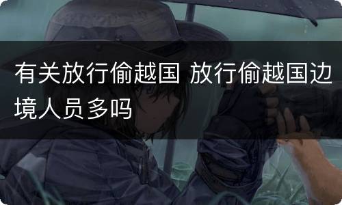 有关放行偷越国 放行偷越国边境人员多吗