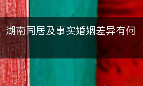 湖南同居及事实婚姻差异有何