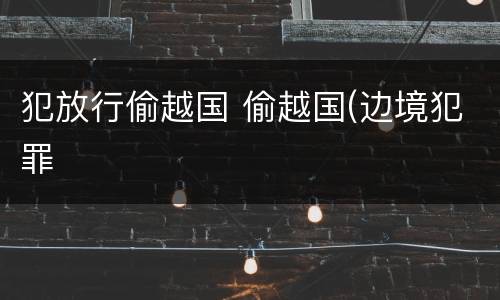 犯放行偷越国 偷越国(边境犯罪