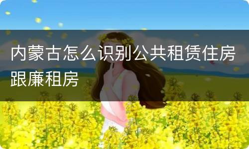 内蒙古怎么识别公共租赁住房跟廉租房