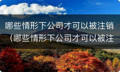 哪些情形下公司才可以被注销（哪些情形下公司才可以被注销掉）