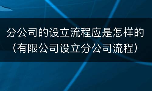 分公司的设立流程应是怎样的（有限公司设立分公司流程）