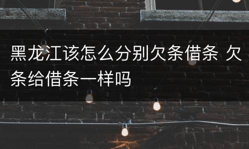 黑龙江该怎么分别欠条借条 欠条给借条一样吗