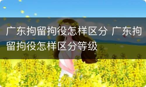 广东拘留拘役怎样区分 广东拘留拘役怎样区分等级