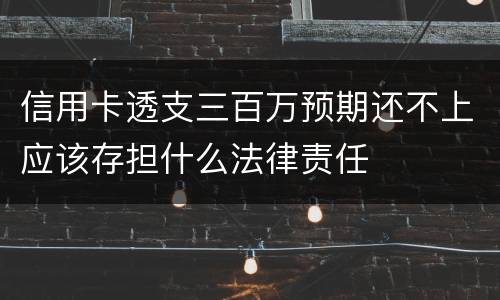信用卡透支三百万预期还不上应该存担什么法律责任