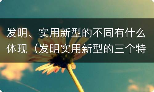 发明、实用新型的不同有什么体现（发明实用新型的三个特点）