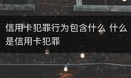 信用卡犯罪行为包含什么 什么是信用卡犯罪