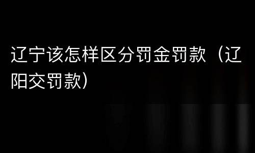 辽宁该怎样区分罚金罚款（辽阳交罚款）
