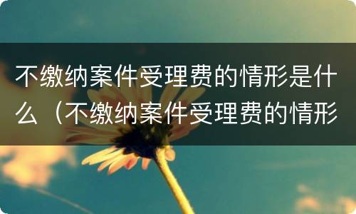 不缴纳案件受理费的情形是什么（不缴纳案件受理费的情形是什么呢）