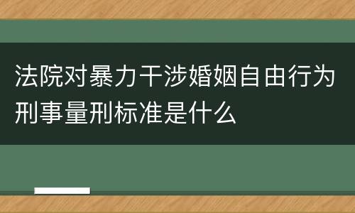 法院对暴力干涉婚姻自由行为刑事量刑标准是什么