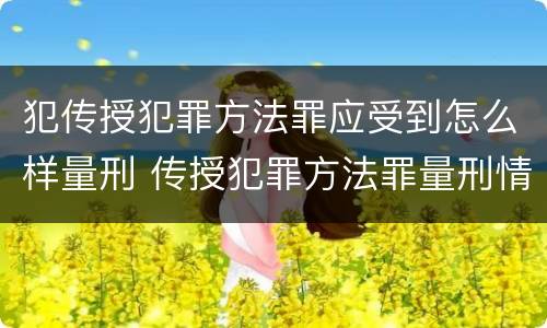犯传授犯罪方法罪应受到怎么样量刑 传授犯罪方法罪量刑情节严重