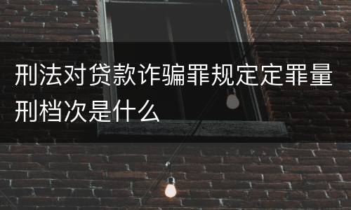 刑法对贷款诈骗罪规定定罪量刑档次是什么