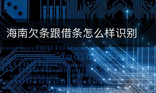 海南欠条跟借条怎么样识别