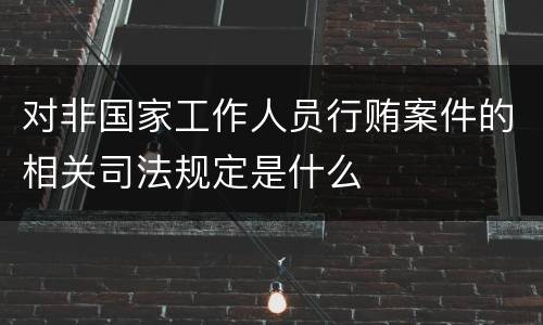 对非国家工作人员行贿案件的相关司法规定是什么