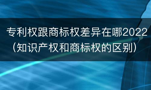 专利权跟商标权差异在哪2022（知识产权和商标权的区别）