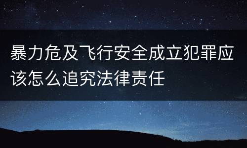 暴力危及飞行安全成立犯罪应该怎么追究法律责任
