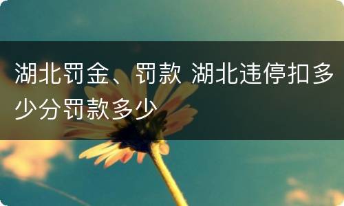 湖北罚金、罚款 湖北违停扣多少分罚款多少