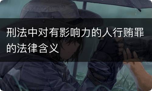 刑法中对有影响力的人行贿罪的法律含义