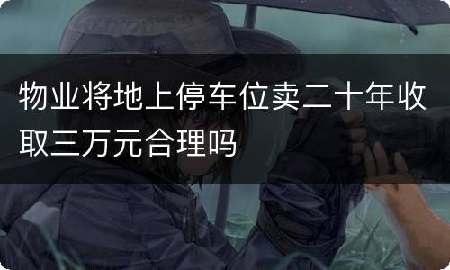 物业将地上停车位卖二十年收取三万元合理吗